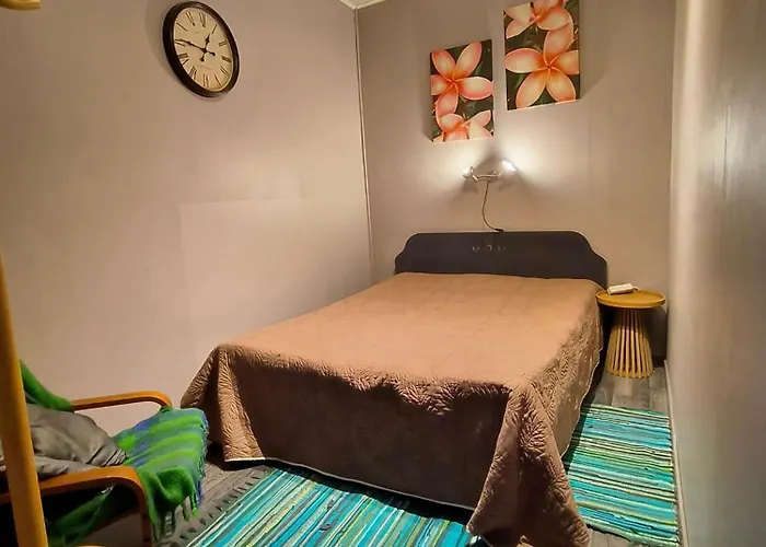 Chelsea Karusselli 3 公寓 派尔努