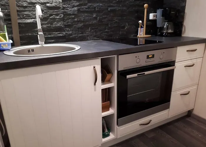 公寓 Chelsea Karusselli 3 派尔努